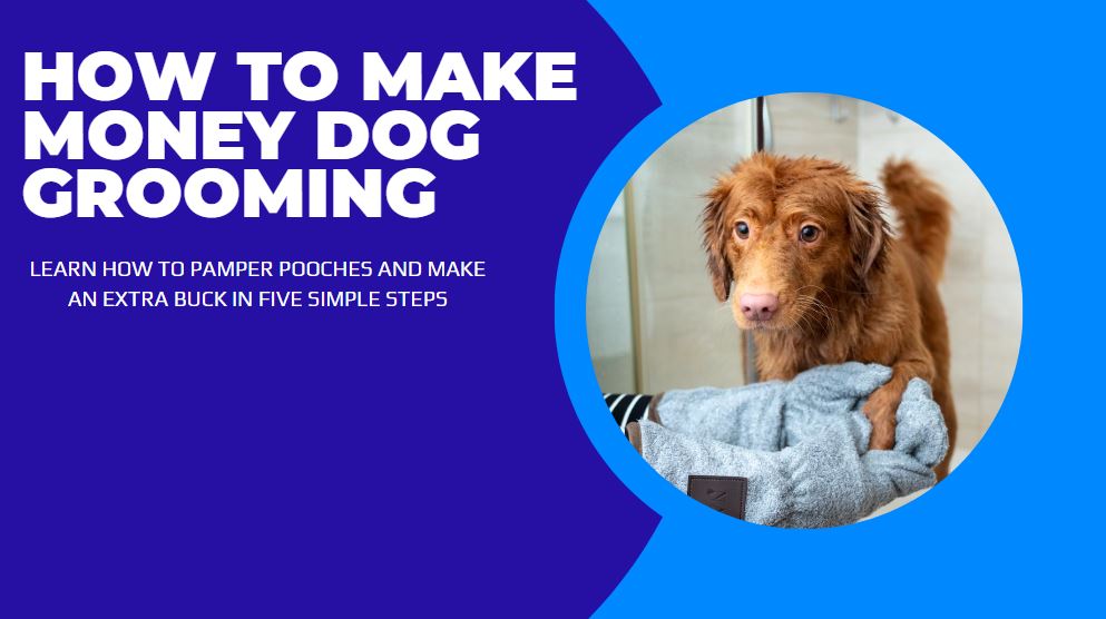 How To Make Money Dog Grooming In [year] Side Hustle Science